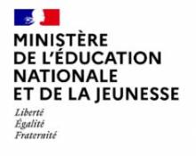 ENSEIGNEMENT INTERNATIONAL ECOLES FRANCAISES A L'ETRANGER
